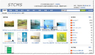 音樂類CMS應更注重用戶分享與互動 以STCMS為例