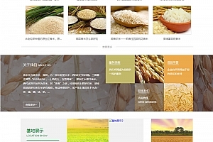 網(wǎng)站源碼與內容管理系統(tǒng) 構建與管理現(xiàn)代網(wǎng)站的關鍵